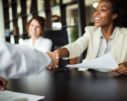 Business woman making plans with somebody, shaking hands.
